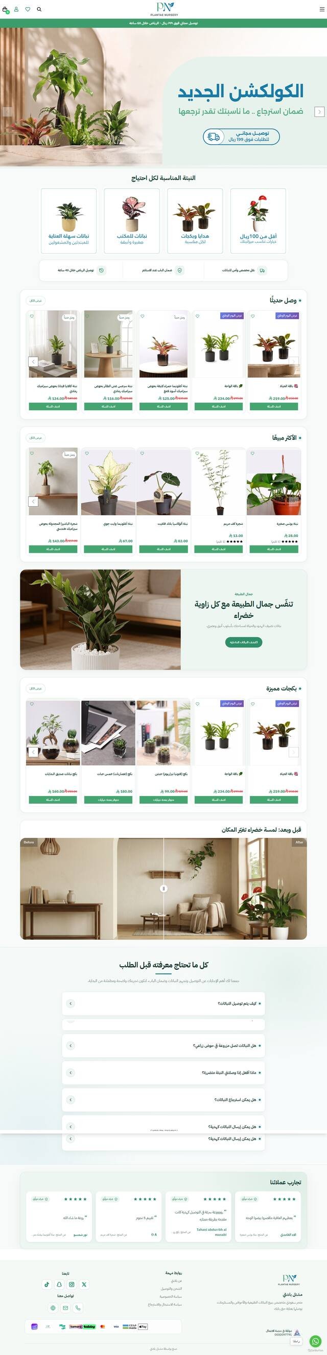 مشتل بلاتيني